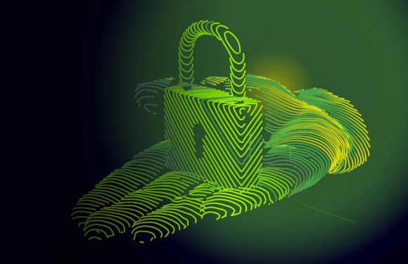 Unveiling The Offerings Of Cybersecurity Companies: Safeguarding The Digital Realm